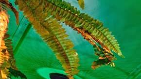 Gracias a la calidad de su comida, se ha convertido en un referente de la comida mexicana en Nueva York