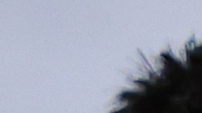 Ídolo de Chivas ve difícil continuidad de Gabriel Milito.