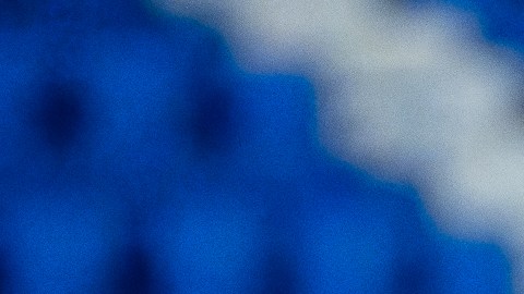 André Jardine afirma que pidió a Allan Saint-Maximin.