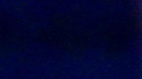 Mauricio Pachettino elogia a Alejandro Zendejas.