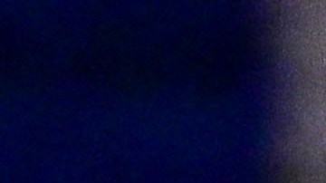 Mauricio Pachettino elogia a Alejandro Zendejas.