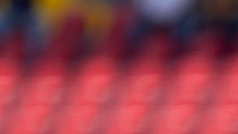 Dueño de Leones Negros aplaude decisión del TAS.