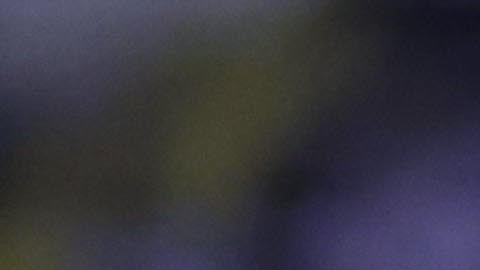 La Liga Expansión MX y la Liga MX volverán con descenso y ascenso para 2026.