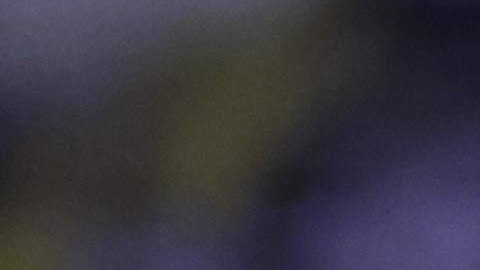 La Liga Expansión MX y la Liga MX volverán con descenso y ascenso para 2026.