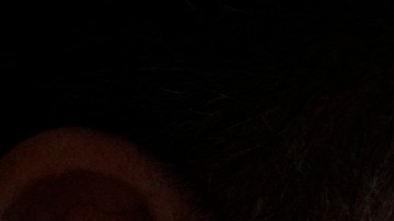 Pritzker acusa a Trump de “aspirante a dictador” tras amenaza contra Chicago