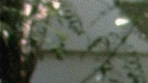 Johnny Carson murió el 23 de enero de 2025.