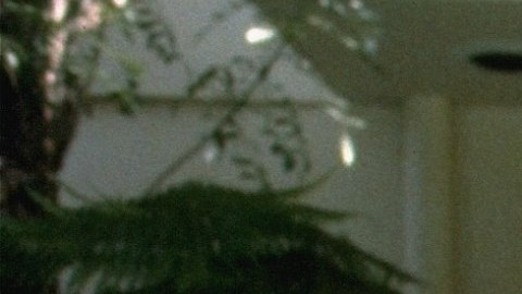 Johnny Carson murió el 23 de enero de 2025.
