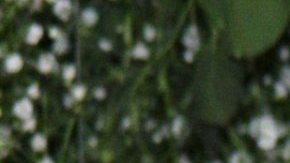 José María Galeano, actor español, participará en La Isla: Desafío Extremo.