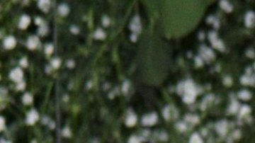 José María Galeano, actor español, participará en La Isla: Desafío Extremo.