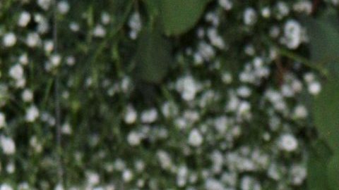 José María Galeano, actor español, participará en La Isla: Desafío Extremo.