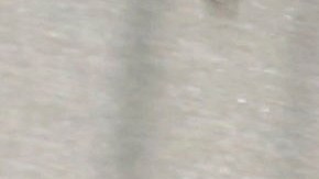 Un boleto (CityTicket) para el LIRR o al Metro-North cuesta $5, o $7 en horas pico.