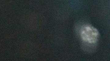 Lindsey Halligan, la abogada de Trump que podría liderar investigación contra Letitia James