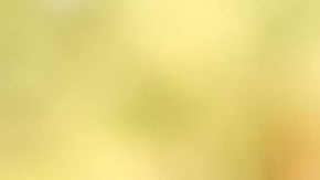 “Soy extremadamente consciente de la salud de mi cerebro y constantemente me desafío a aprender cosas nuevas y adquirir nuevas habilidades”, dice Ladish.