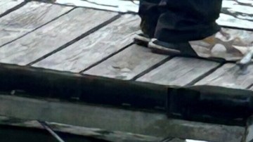 La madre de Ohio se aventó al lago en el carrito de golf que manejaba junto con sus hijos.