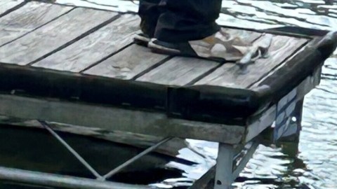 La madre de Ohio se aventó al lago en el carrito de golf que manejaba junto con sus hijos.