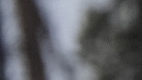 Matteo Franzoso durante una carrera de esquí supergigante de la Copa del Mundo masculina.