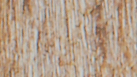 Un nuevo estudio de Canadá está causando revuelo al sugerir que un edulcorante podría mejorar dos indicadores clave de salud.