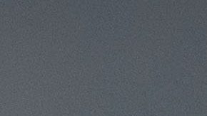 El guacamayo azul había sido declarado oficialmente extinto en el 2000.