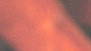 Nicola Porcella, actor y presentador peruano de TV, en controversia por comentarios sobre Ninel Conde.