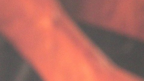 Nicola Porcella, actor y presentador peruano de TV, en controversia por comentarios sobre Ninel Conde.