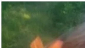 Stefanie Damron, de 13 años, salió a caminar por el bosque cerca de su casa y no regresó.