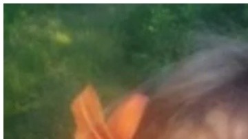 Stefanie Damron, de 13 años, salió a caminar por el bosque cerca de su casa y no regresó.