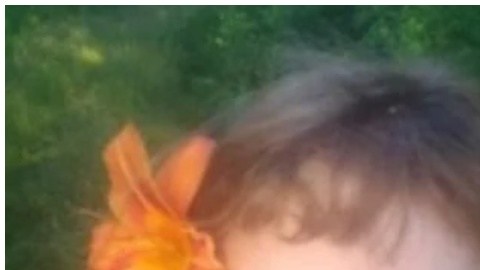 Stefanie Damron, de 13 años, salió a caminar por el bosque cerca de su casa y no regresó.