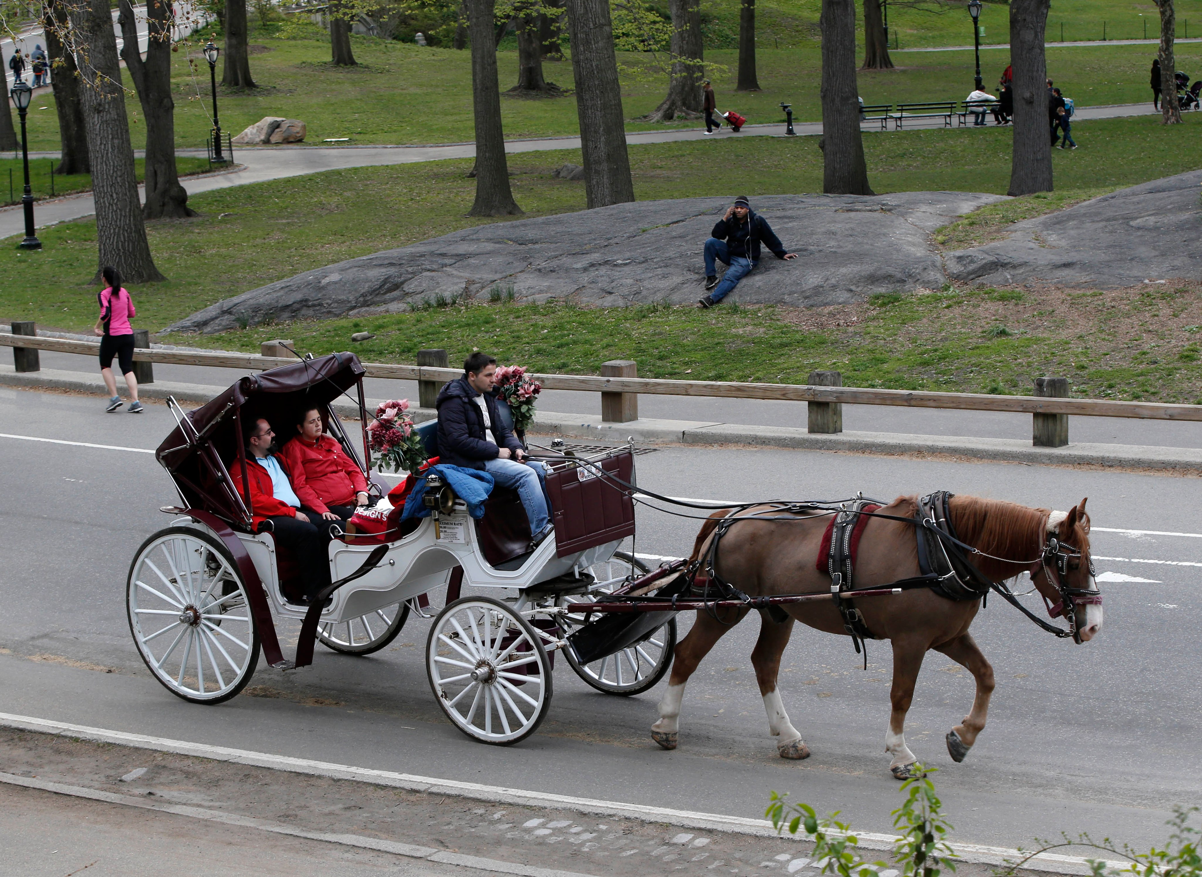 Carruajes a caballo volverán a Nueva York tras breve pausa por racha trágica en Central Park