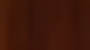 Comisionado residente de Puerto Rico, Pablo José Hernández, en el pleno de la Cámara