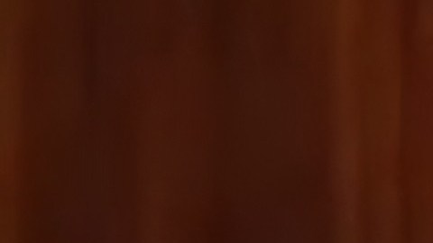 Comisionado residente de Puerto Rico, Pablo José Hernández, en el pleno de la Cámara