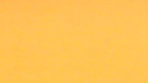 Penélope Menchaca, presentadora del programa Hoy Día.