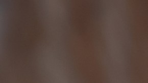 El retiro incluye siete tipos de quesos del mercado por riesgo de Listeria.