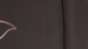 Raúl de Molina, presentador del programa El Gordo y la Flaca, fue criticado por algunos panameños.