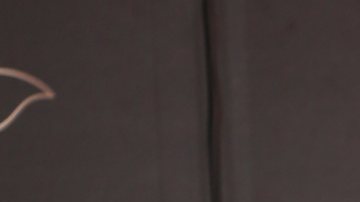 Raúl de Molina, presentador del programa El Gordo y la Flaca, fue criticado por algunos panameños.