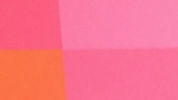 Raúl de Molina, presentador de El Gordo y la Flaca.