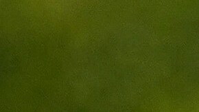 Camila enfrentó a su agresor cuando era adolescente, según relata el libro.