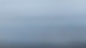 Para la elaboración de las tartas se utilizó el amarillo N 5 que no se incluyó en los ingredientes en las etiquetas.