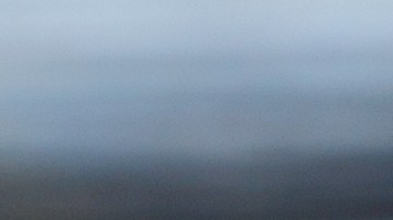 Para la elaboración de las tartas se utilizó el amarillo N 5 que no se incluyó en los ingredientes en las etiquetas.