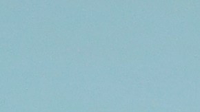 Roseanne Barr hizo varias reformas en la propiedad.