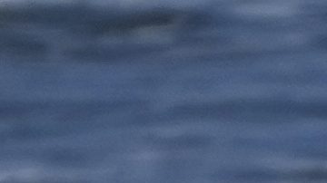 Un socorrista surfista patrulla una playa en moto acuática tras un ataque fatal de tiburón en la playa.