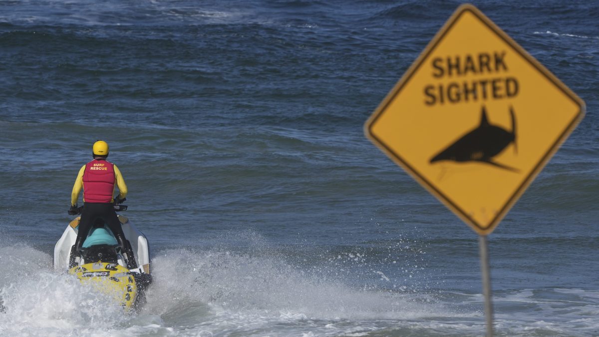 Surfista muere tras ataque de tiburón en costas australianas