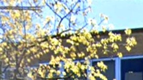 La secundaria fue cerrada mientras la policía procesaban la escena.