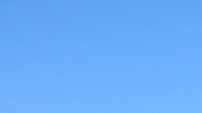 Sherman's Sports ya no contonuará con sus operaciones porque la familia decidió ya no hacerse cargo de su operación.