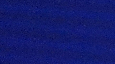 Jannik Sinner celebra un punto en su partido de semifinal ante Félix Auger-Aliassime.