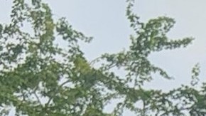 Protesta contra despliegue militar en Puerto Rico