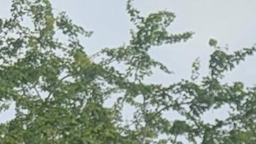 Protesta contra despliegue militar en Puerto Rico