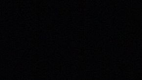 El té de hojas de mango es un aliado natural para mejorar la salud.