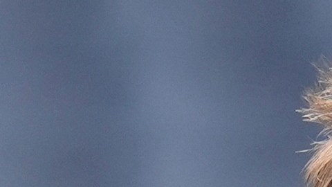 Tom Brady diseñó una rutina de ejercicio enfocada en prolongar su vida deportiva de manera exitosa.