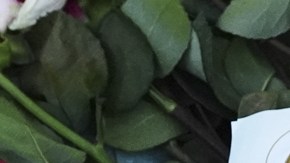 La nota de Tyler Robinson antes de asesinar a Charlie Kirk: Tengo la oportunidad de eliminarlo y la voy a aprovechar