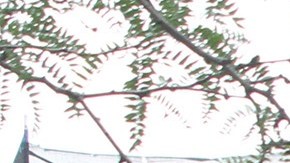 En 2024, el HPD ayudó a más neoyorquinos a mudarse a viviendas asequibles que nunca, conectando a 10,054 hogares con viviendas a través de más de 300 loterías.